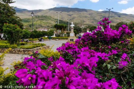 Blumenpracht in Kolumbien