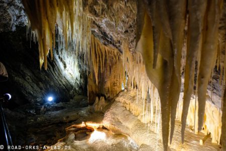 Marakoopa Cave, Tasmanien