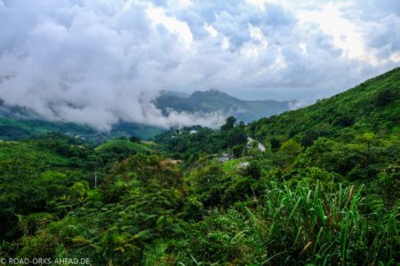 Blick in den laotischen Dschungel